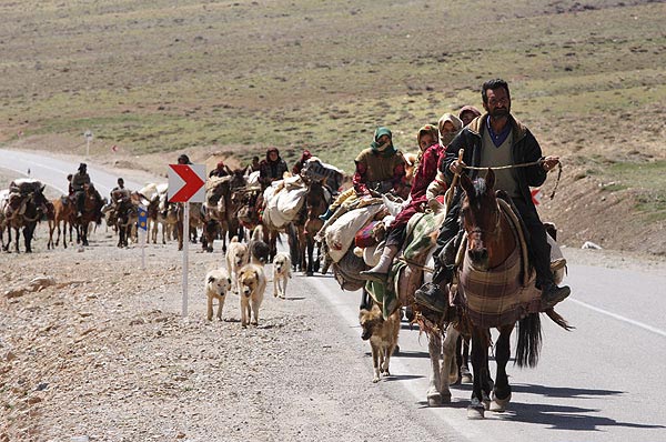 آغاز کوچ پاییزه عشایر اردبیل از نیمه دوم مهرماه آغاز کوچ پاییزه عشایر اردبیل از نیمه دوم مهرماه