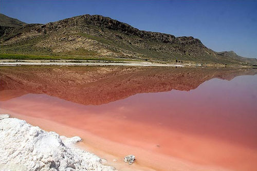دریاچه مهارلو زيستگاه كشنده هاي قرمز