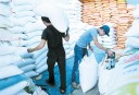 آزادسازي واردات برنج به بهانه کاهش قيمت در شب عيد