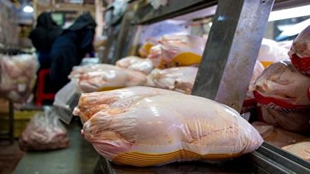 فروش مرغ گرم پایین‌تر از قیمت مصوب در بازار چهارمحال و بختیاری