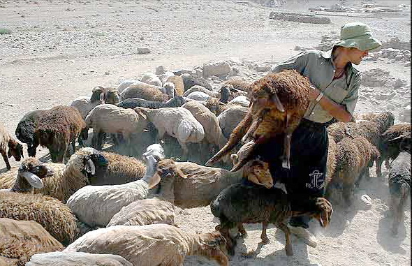 این مرض دست از سر خراسانی ها بر نمی دارد