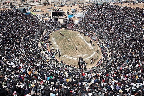 اکبری چهار گوشه زمین را بوسید