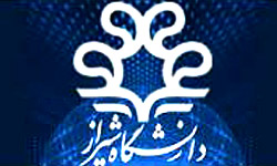 اسب دره شوري فارس قابليت جهاني شدن دارد اسب دره شوري فارس قابليت جهاني شدن دارد