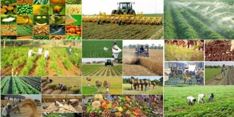 اهتمام نمایندگان مجلس در شناسایی و پیگیری برای رفع موانع بهره برداران بخش کشاورزی