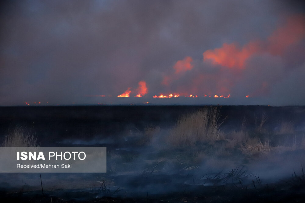 اطفای حریق تالاب میقان با حضور ۲۵ تیم آتش نشانی اطفای حریق تالاب میقان با حضور ۲۵ تیم آتش نشانی