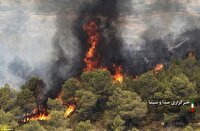 افزایش ۱۰۰ درصدی آتش‌سوزی در جنگل‌های لرستان